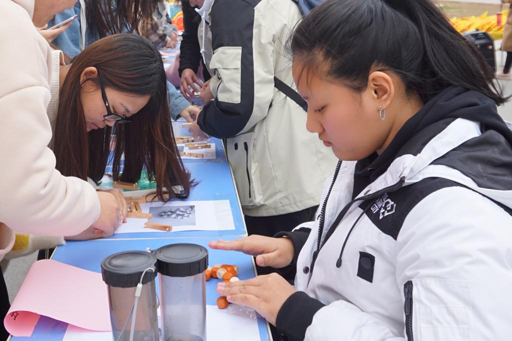 参赛队员们研究着鲁班锁