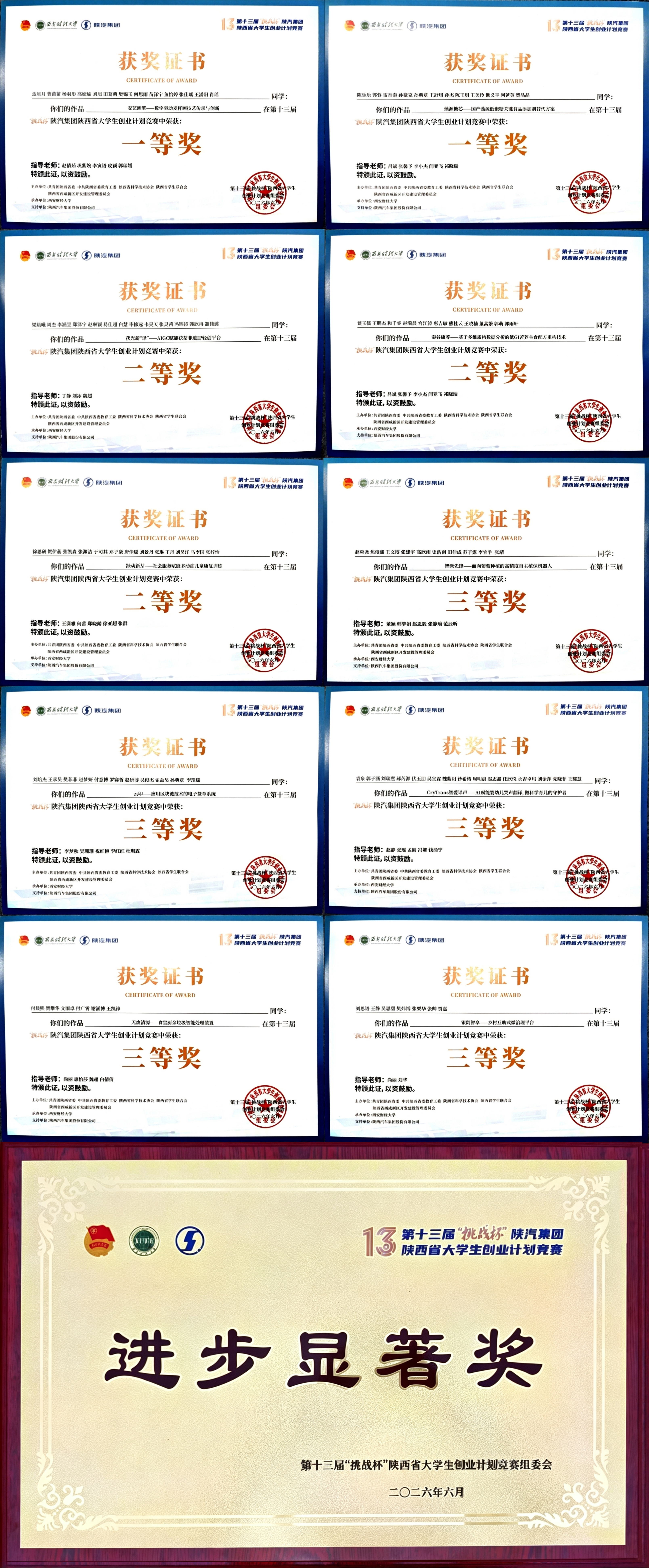 获奖证书与奖牌