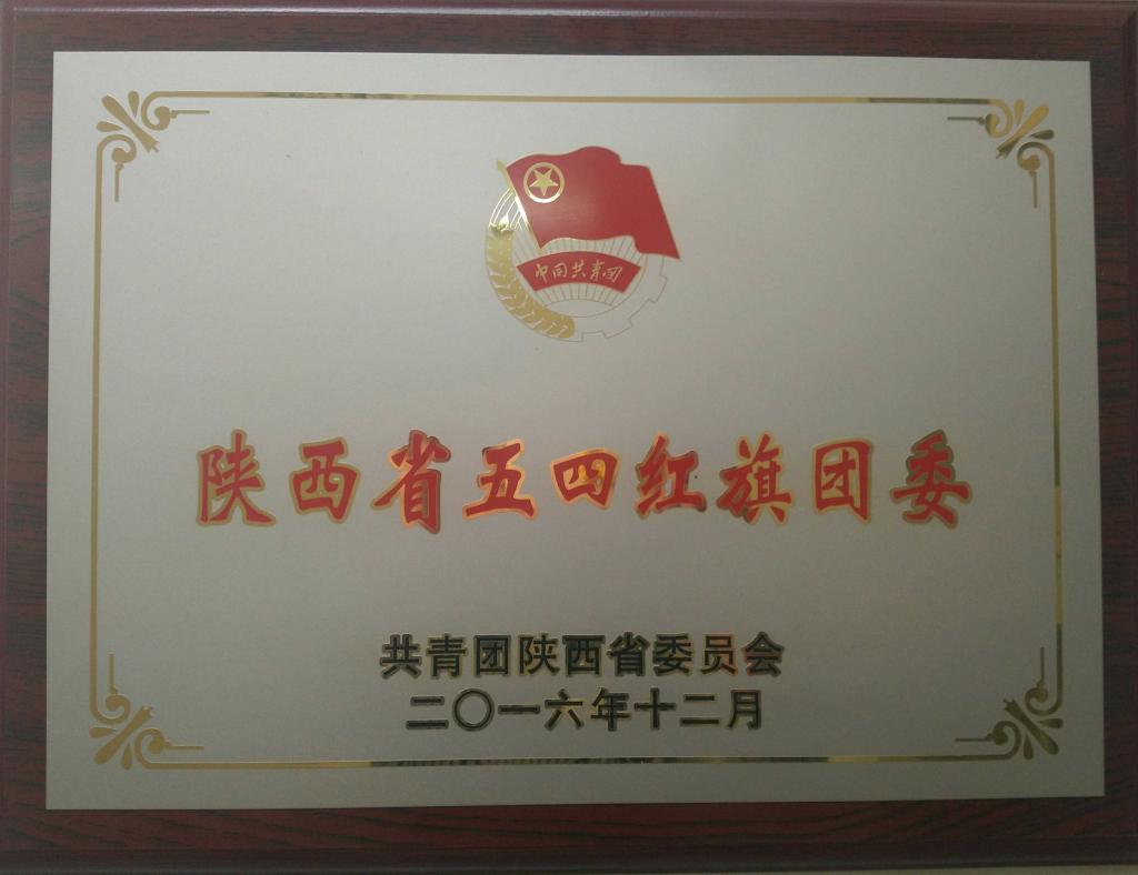 陕西省五四红旗团委奖牌